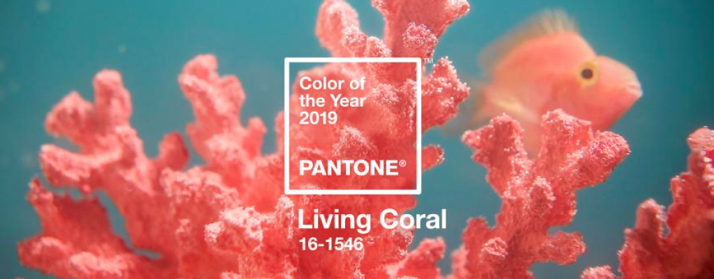 2019 Pantone Color of the Year- Graphic Design