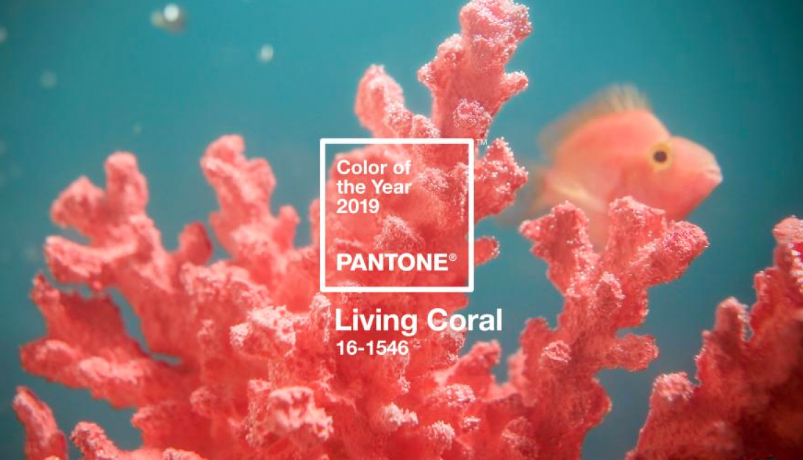 2019 Pantone Color of the Year- Graphic Design